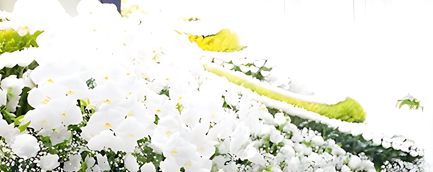 合同葬を行うメリット