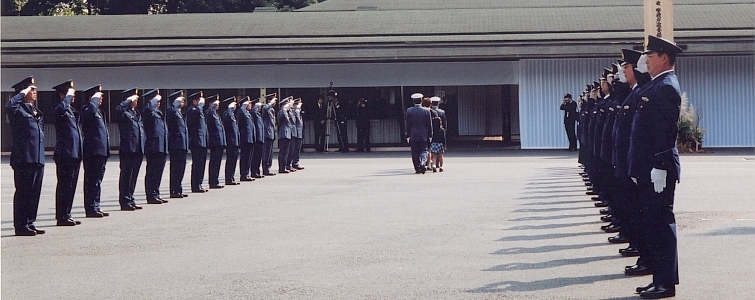 セレモアの最善の提案