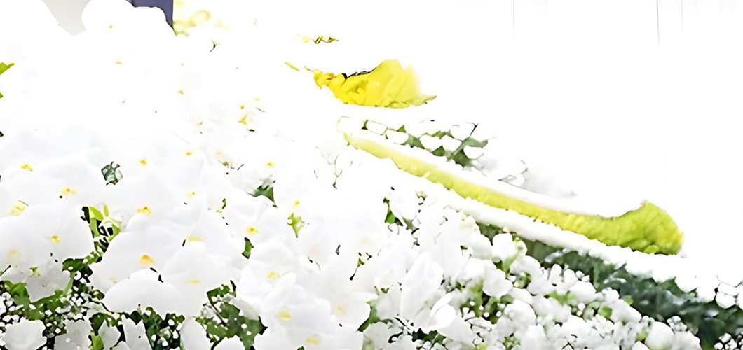 合同葬を行うメリット｜費用・準備・メリットを解説