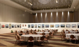 お別れの会と偲ぶ会の違い｜特徴と開催時期を解説