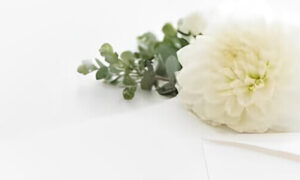 社葬後の関係者への御礼マナー