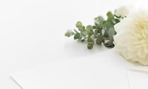 お別れの会のはがき返信のマナーと書き方